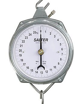 Hanging Scale