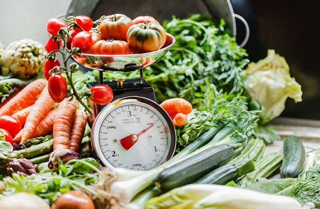 mechanical_scales_t001