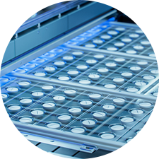 Pharmaceuticals, Cosmetics